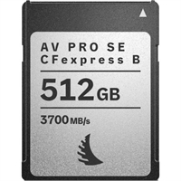 Argnelibd VA PRO CserpFexs ES Tpye B V4 52G1B